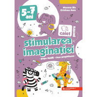 Caiet pentru stimularea imaginației 5-7 ani