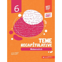 Matematica - Clasa a 6-a - Teme recapitulative