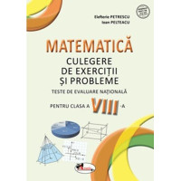 Matematică. Culegere de exerciții și probleme. Clasa a VIII a