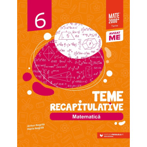 Matematică. Teme recapitulative. Clasa a VI-a