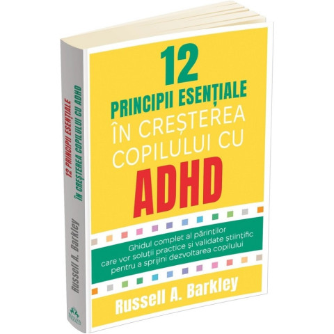 12 principii esențiale în creșterea copilului cu ADHD