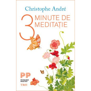 3 Minute de meditație