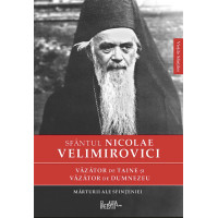 Văzător de taine și văzător de Dumnezeu. Mărturii ale sfințeniei