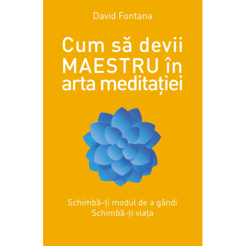 Cum să devii maestru în arta meditației