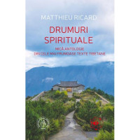 Drumuri spirituale