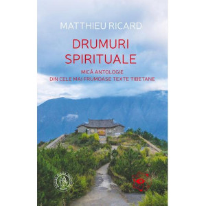 Drumuri spirituale