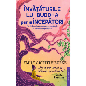 Învățăturile lui Buddha pentru începători