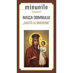 Minunile icoanei Maica Domnului Caută la smerenie