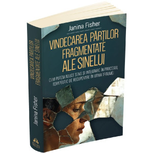 Vindecarea părților fragmentate ale sinelui