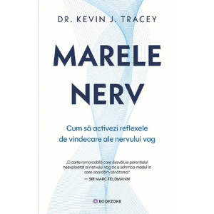 Marele nerv