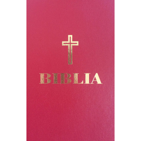 Biblia - gold grena - 073