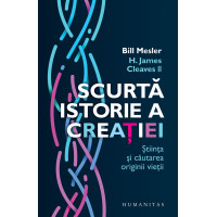 Scurtă istorie a creației