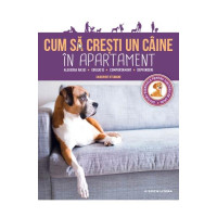 Cum să crești un câine în apartament