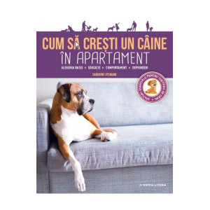 Cum să crești un câine în apartament