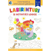 Labirinturi si activitati logice. Coloreaza si stimuleaza gandirea