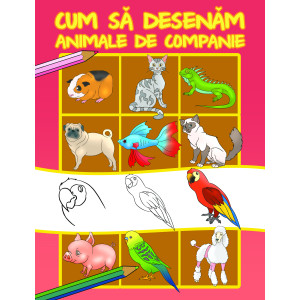 Cum să desenăm animale de companie