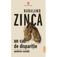 Un caz de dispariție. Anchete sociale