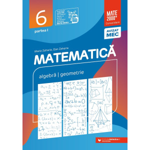 Matematică. Algebră, geometrie. Clasa a VI-a. Consolidare. Partea I