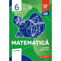 Matematică. Algebră, geometrie. Caiet de lucru. Clasa a VI-a. Inițiere. Partea a II-a