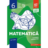 Matematică. Algebră, geometrie. Caiet de lucru. Clasa a VI-a. Inițiere. Partea I