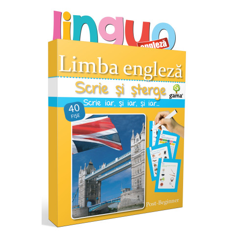 Limba engleză • Post-Beginner