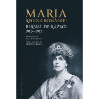 Jurnal de Război 1916-1917 (Vol. 1)