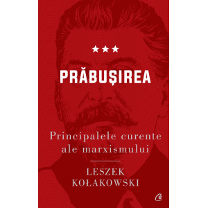 Principalele curente ale marxismului. Prăbușirea