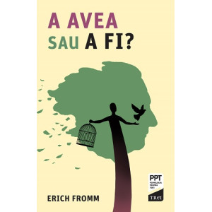 A AVEA sau A FI?