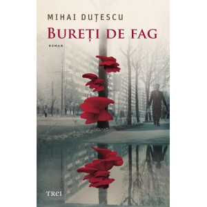 Bureți de fag