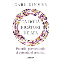 Ca două picături de apă: Puterile, perversiunile și potențialul eredității