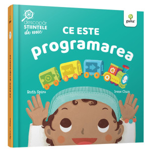 Ce este programarea