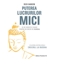 Puterea lucrurilor mici. 52 de exerciţii zilnice pentru un creier de Buddha