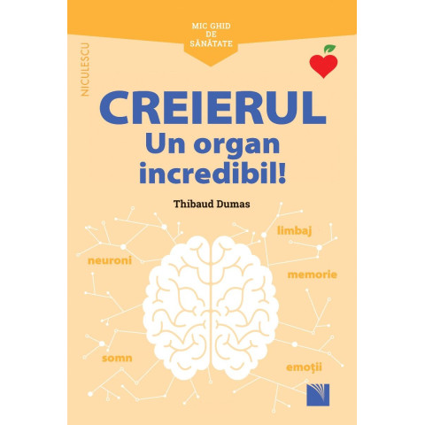 Mic ghid de sănătate: Creierul. Un organ incredibil!