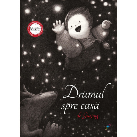 Drumul spre casă