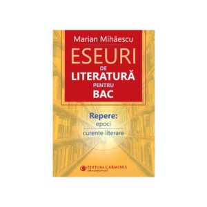 Eseuri de literatura pentru BAC