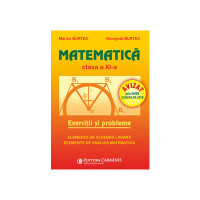 Matematica. Exercitii si probleme. Clasa a XI-a