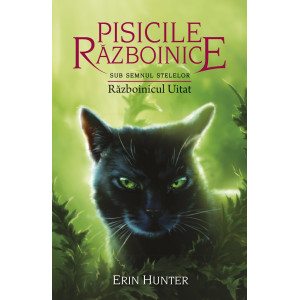 Cartea 23 Pisicile Războinice. Războinicul Uitat