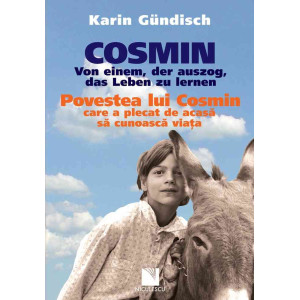 Cosmin. Von einem, der auszog, das Leben zu lernen / Povestea lui Cosmin care a plecat de acasă să cunoască viaţa (ediţie bilingvă)