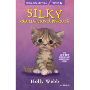 Silky, cea mai trista pisicuta (Nivelul 6)