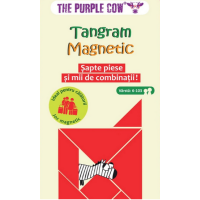 Tangram magnetic