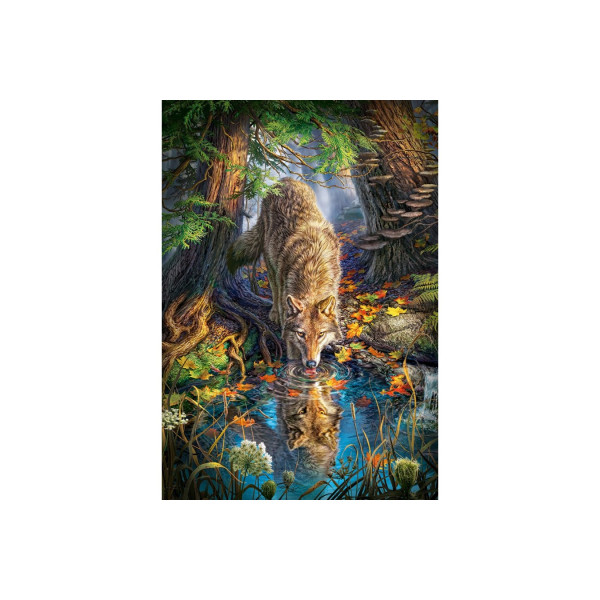 Puzzle Castorland - Wolf In The Wild, 1500 piese