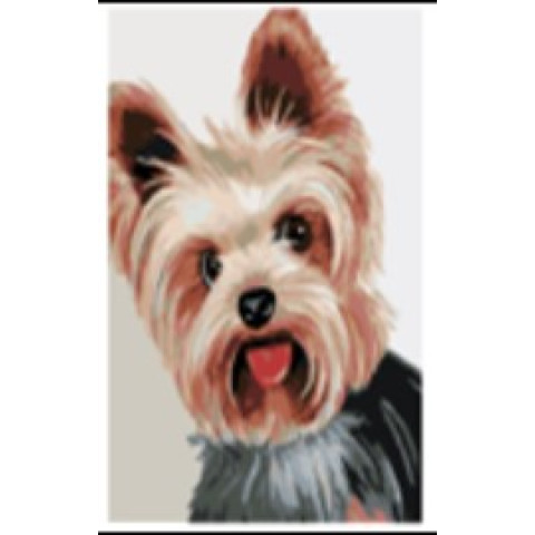 Set pictura pe numere 40*50 Catel Yorkshire Terrier