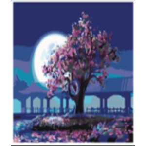 Set pictură pe numere 40*50 Copac sub clar de lună
