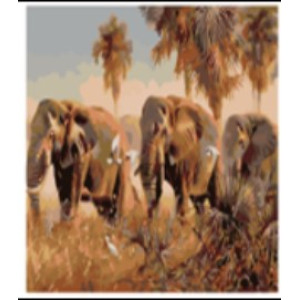 Set pictură pe numere 40*50 Elefanții
