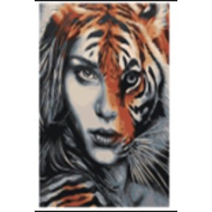 Set pictură pe numere 40*50 Femeia tigru