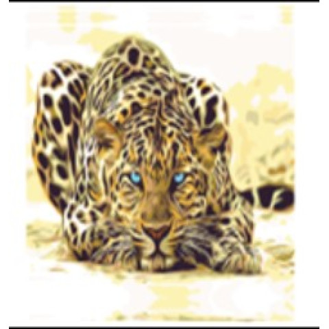 Set pictură pe numere 40*50 Cap de tigru