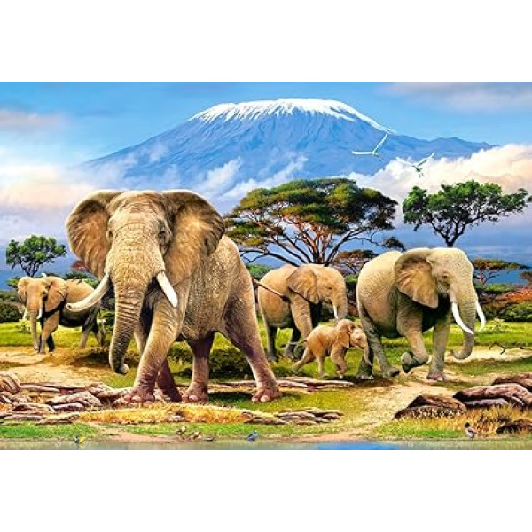 Kilimanjaro Morning – 1000 Piece Puzzle Castorland Kilimanjaro Morning – 1000 Piece Puzzle Castorland
