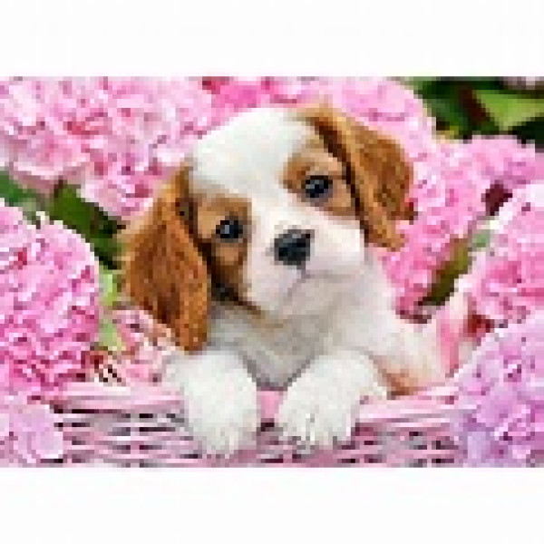Pup in Pink Flowers, Puzzle 180 pieces Pup in Pink Flowers, Puzzle 180 pieces