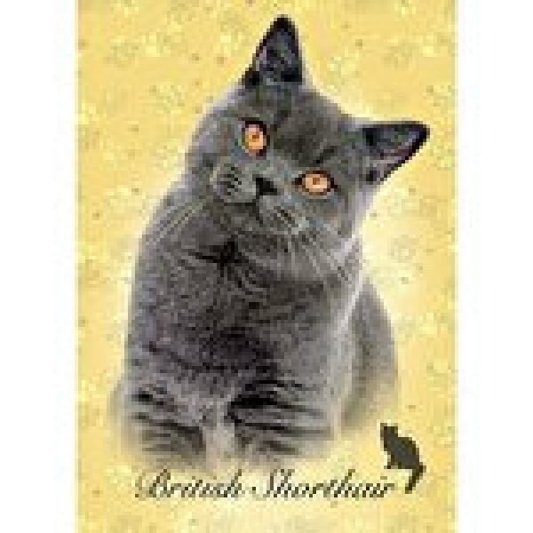 Puzzle 100 de piese - British Shorthair, Educa