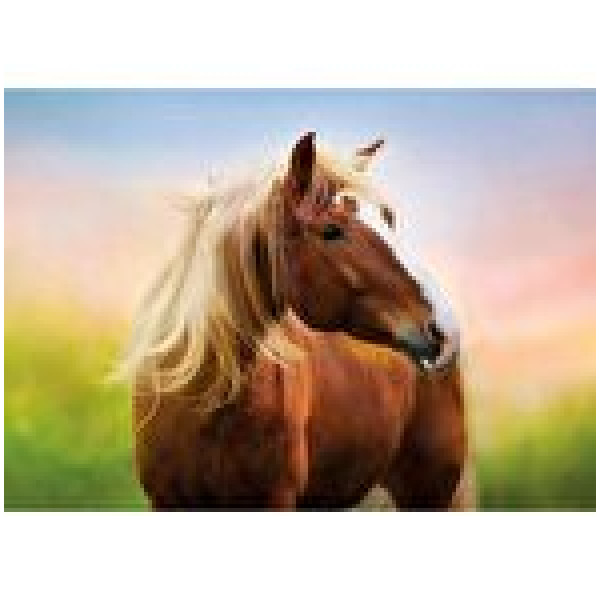 Educa, Puzzle Horse at sunrise, 500 piese